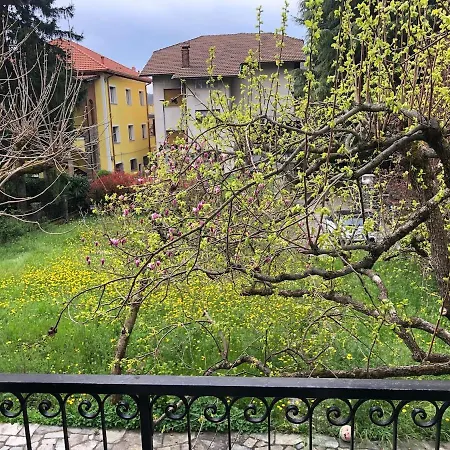 Lelly Casella (Liguria)